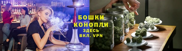 ГАЛЛЮЦИНОГЕННЫЕ ГРИБЫ Абаза
