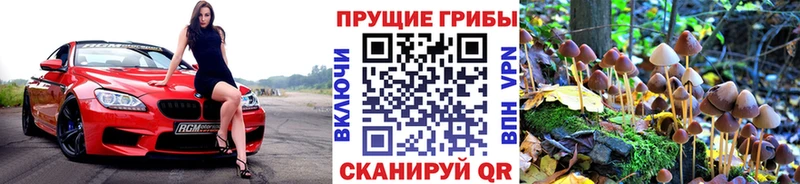 Галлюциногенные грибы MAGIC MUSHROOMS omg зеркало Александровск